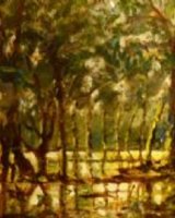 Glimpse of Water