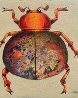 Harry Bell -'Beetle 2'