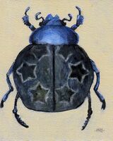 Harry Bell -'Star Beetle'