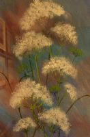 Hogweed