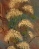 Hogweed