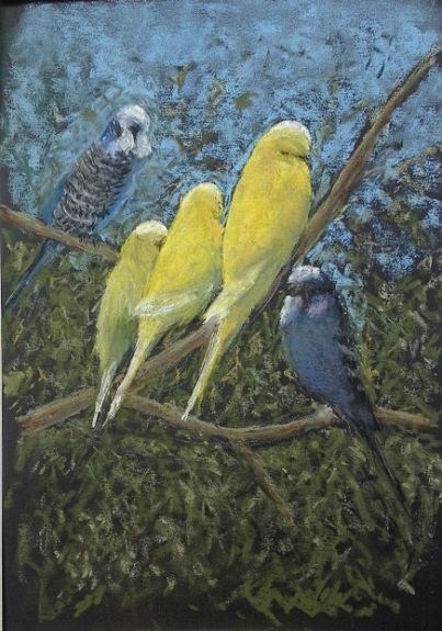 John Fulthorpe -Budgies
