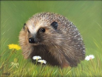 Jeff Stamp 'Springtime '300