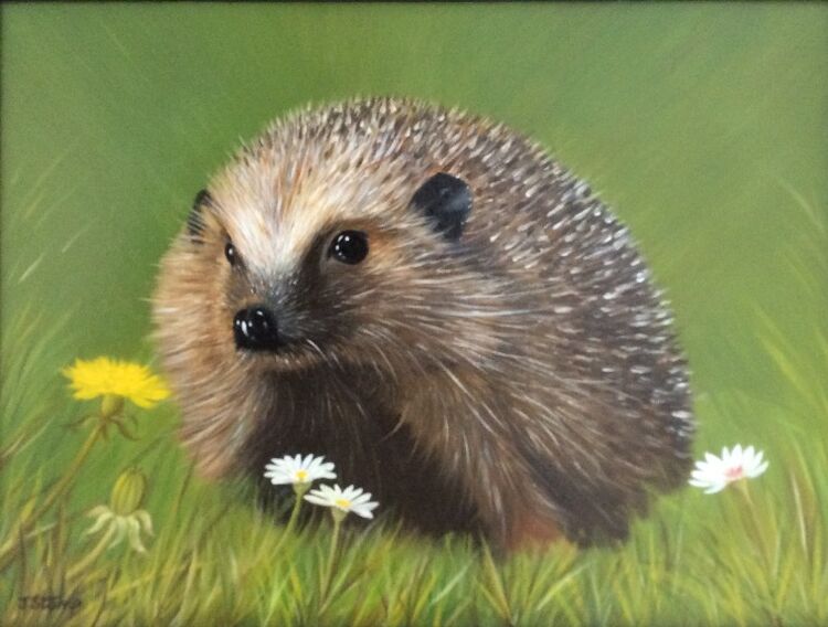 72 Jeff Stamp 'Springtime '