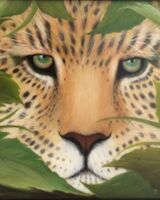 73 Jeff Stamp ' Looking at You '