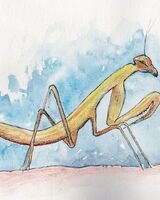 Jenny Dyson -'Praying Mantis on my Finger'