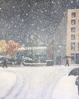 Jenny Dyson ' September Snowstorm '