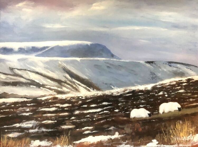 30 Jenny Dyson ' Snowy Hills of Northumberland '