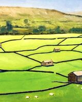 Jenny Dyson ' Sunlit Fields '