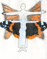 Joe Beard -'Butterflys'
