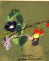 49 -Joe Beard ' Flowers '
