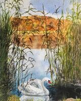 55 John McGee ' Derwent Swan '