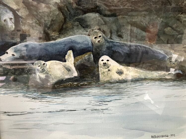 59 John McGee ' Seal Bathing '