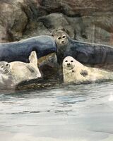 59 John McGee ' Seal Bathing '