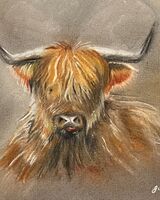 51 Julie Manning ' Hamish'