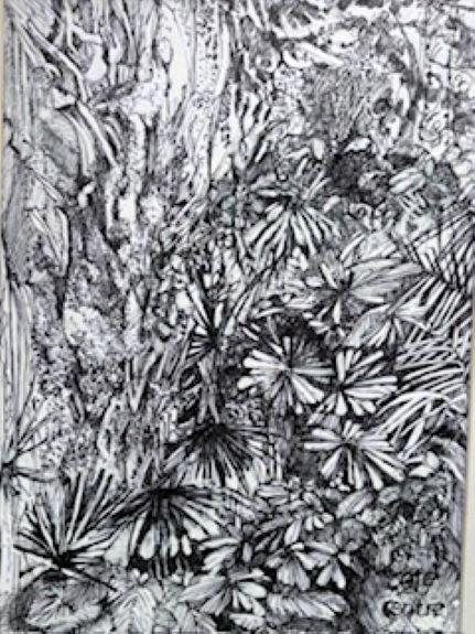 Karen Stott ' Centre Parks Cafe Plants '