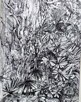 Karen Stott ' Centre Parks Cafe Plants '