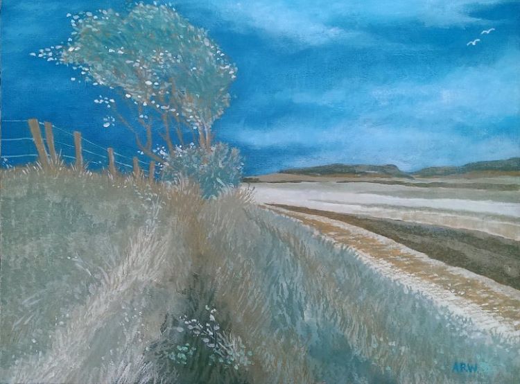 Kiln Point Budle Bay by Allan White