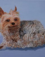 Little Pet -Alison Fereday