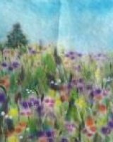 Meadow