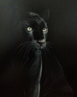 Black Panther by Jeff Stamp