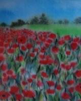 Poppies by Sheila Lewis