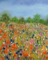 45 Sheila Lewis ' Summer Meadow '