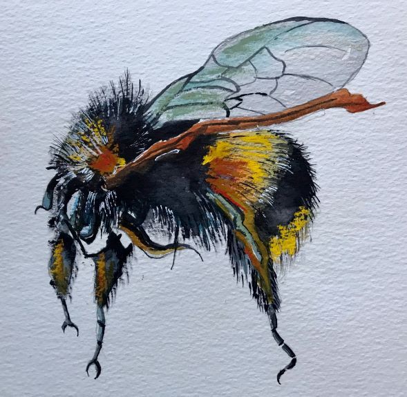 Tim Griffiths -Honeybee