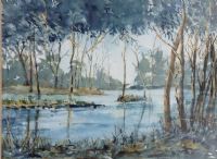 Trees at Arcot Hall-
