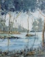 Trees at Arcot Hall-