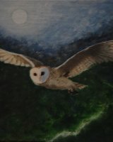 Whoooo Goes There -Alison Fereday