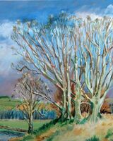 Willie Drea ' Stand of Trees near Esh '
