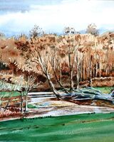 Willie Drea ' -The Browney at Holliday Park '