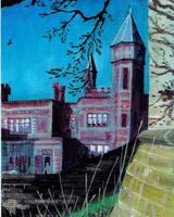 Allan White -Saltwell Towers