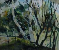Young Trees