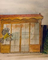 Julie Manning, Nesting Blue Tit