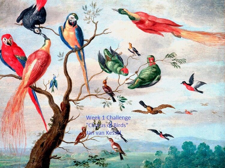 Shipley Challenge no.1 -Jan van Kessel "The Chorus of Birds"