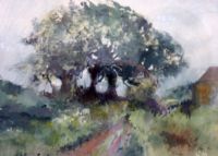 trees