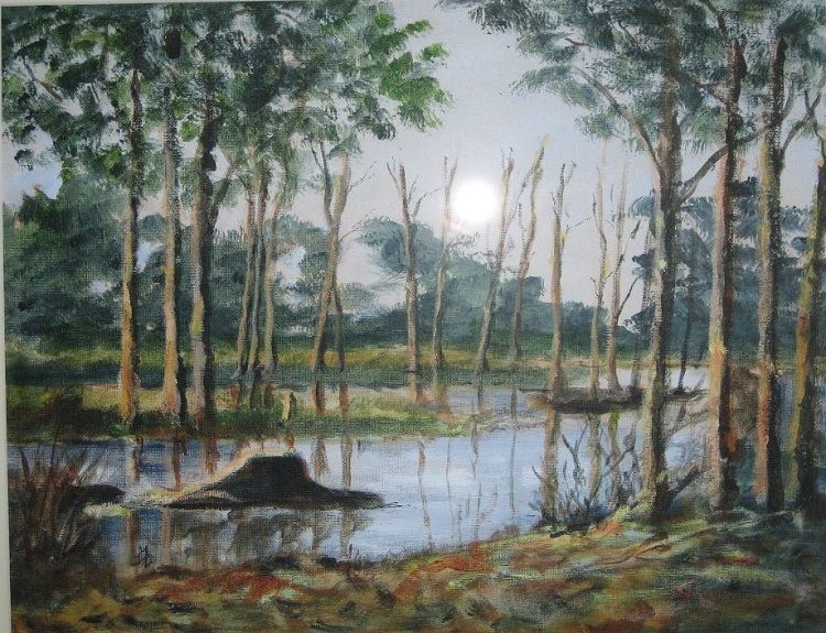 86 Arcot Lake, acrylic by Audrey Drynan