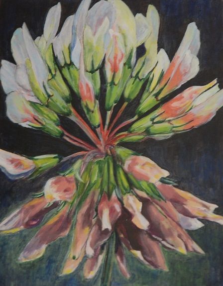 Clover by Clare Lovett
