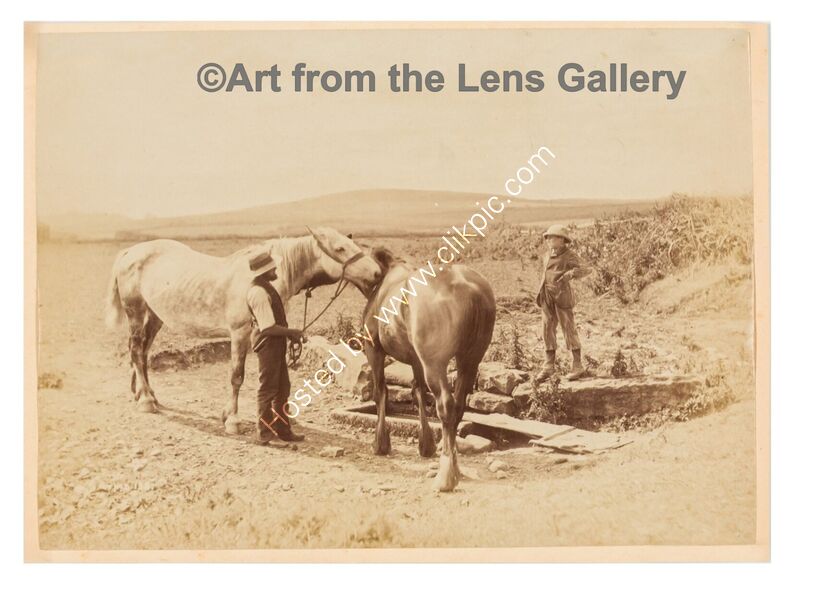 Memories of Whitby #4