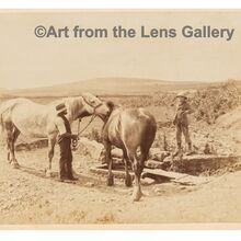 Memories of Whitby #4