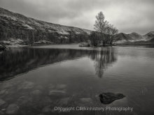 County Durham