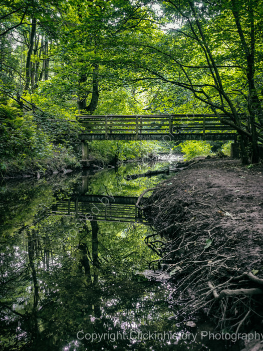 Causey Burn reflections