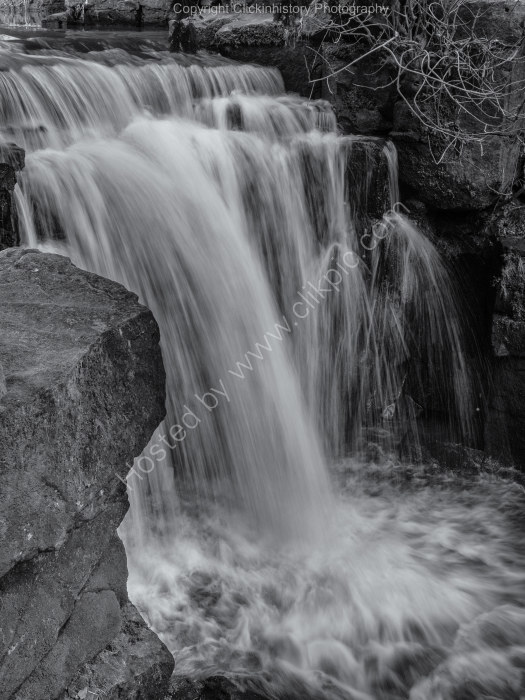Jesmond Dene #8