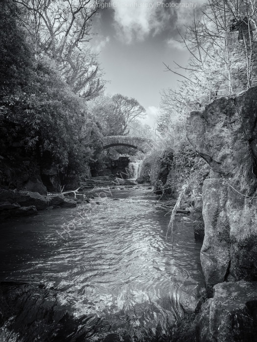 Jesmond Dene #7