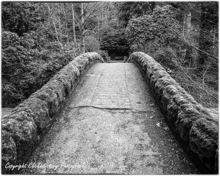 Jesmond Dene #3