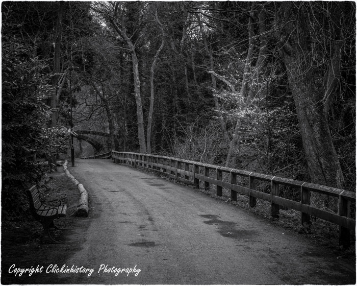 Jesmond Dene #1