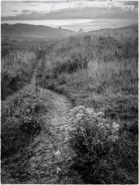 Will you take my hand and wander the path ahead?
