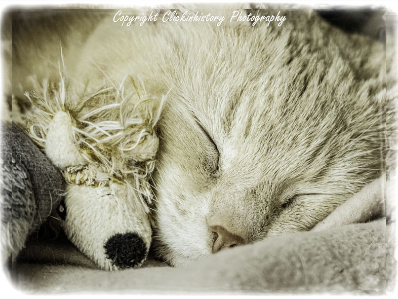 Best of pals
